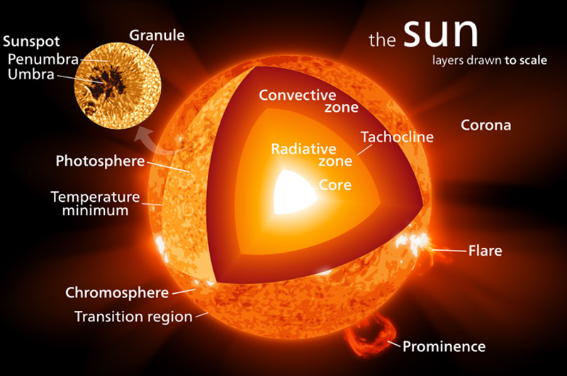 Schematic diagram for sections of the sun