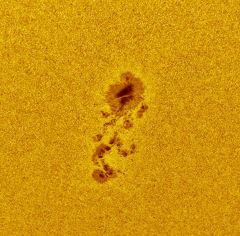 A close-up in white light of a sunspot
group