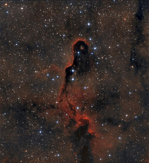 Elephant trunk nebula, June, northeastern skies, astrophotography, Cepheus, imaging, narrowband, telescopes