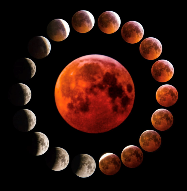 Lunar Eclipse Phases