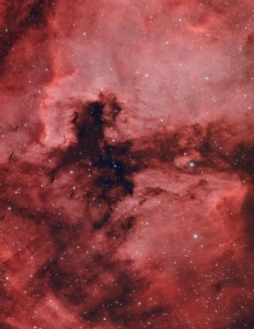 Constellation Cygnus May 2022, imaging, narrowband target filters, astrophotography, Cygnus Region