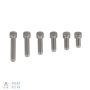 Socket Head Cap Screws, Stainless Steel, 1/4"-20 Thread (Pack of 4)