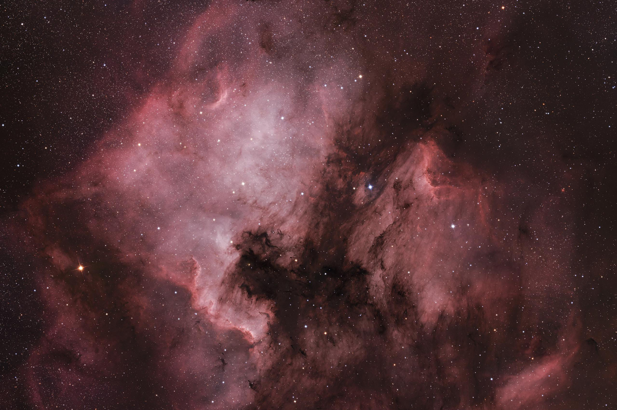 NGC 7000 - The North America Nebula by Travis Patterson. Taken with a ZWO ASI2600MC Pro cooled OSC camera, a SharpStar 15028HNT reflector telescope, and ZWO AM5N Mount.