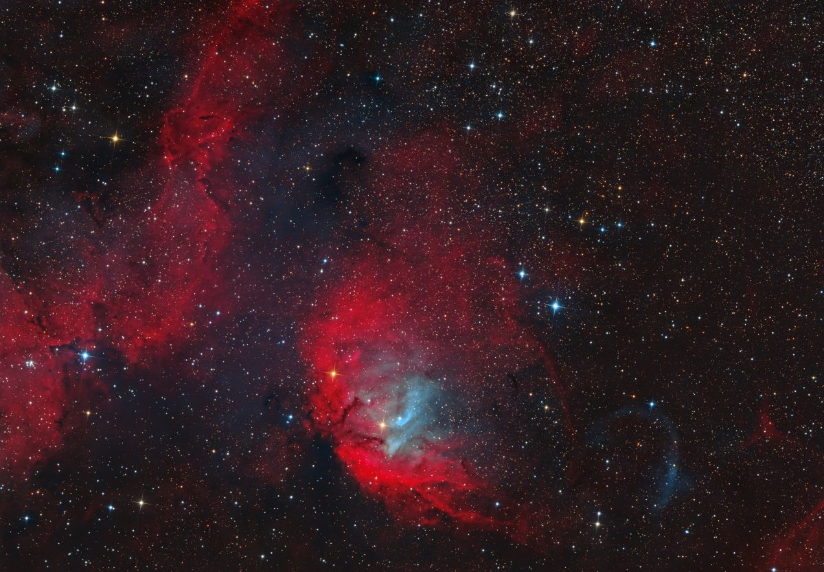 Tulip Nebula a large red Ha region shaped like a flower with blue gas in the centre