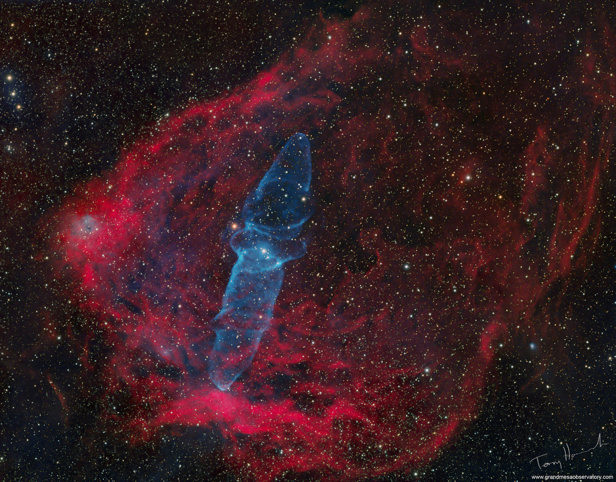 Sh2-129 & OU4 - The Flying Bat and The Squid Nebulas by Terry Hancock. Taken with a QHYCCD QHY600PH cooled monochrome astronomy camera, a Takahashi FSQ-130 refractor telescope, and a Software Bisque Paramount ME GEM mount.