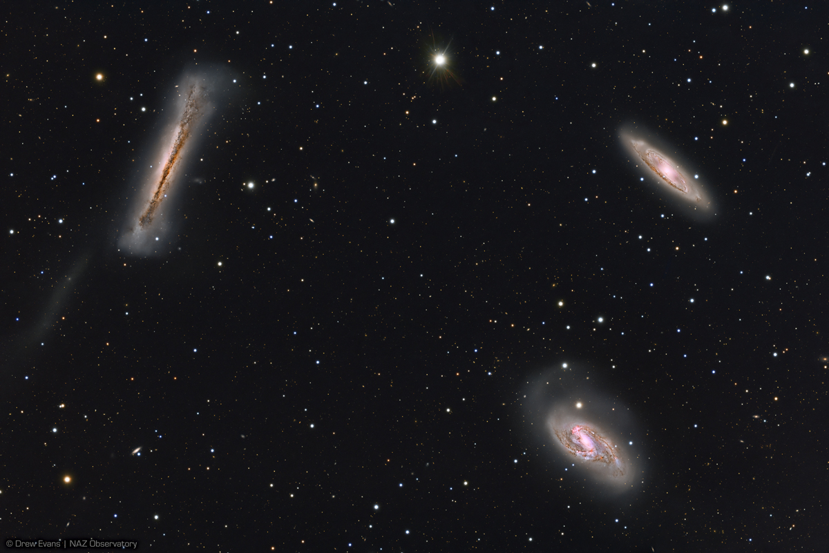 The Leo Triplet, a group of three interacting galaxies—M65 and M66, two bright spiral galaxies with visible arms and glowing cores, alongside the Hamburger Galaxy (NGC 3628), an edge-on spiral galaxy with a dark dust lane across its bright central region—