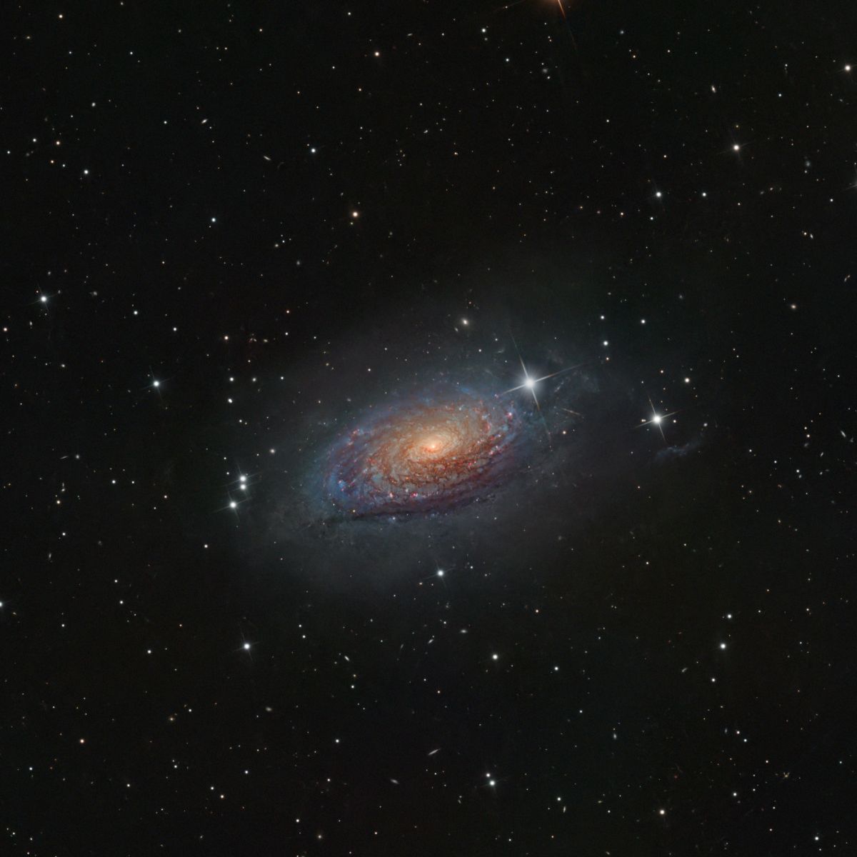  Messier 63 - The Sunflower Galaxy, taken by Michael Gehrisch using a ZWO ASI2600MC Air