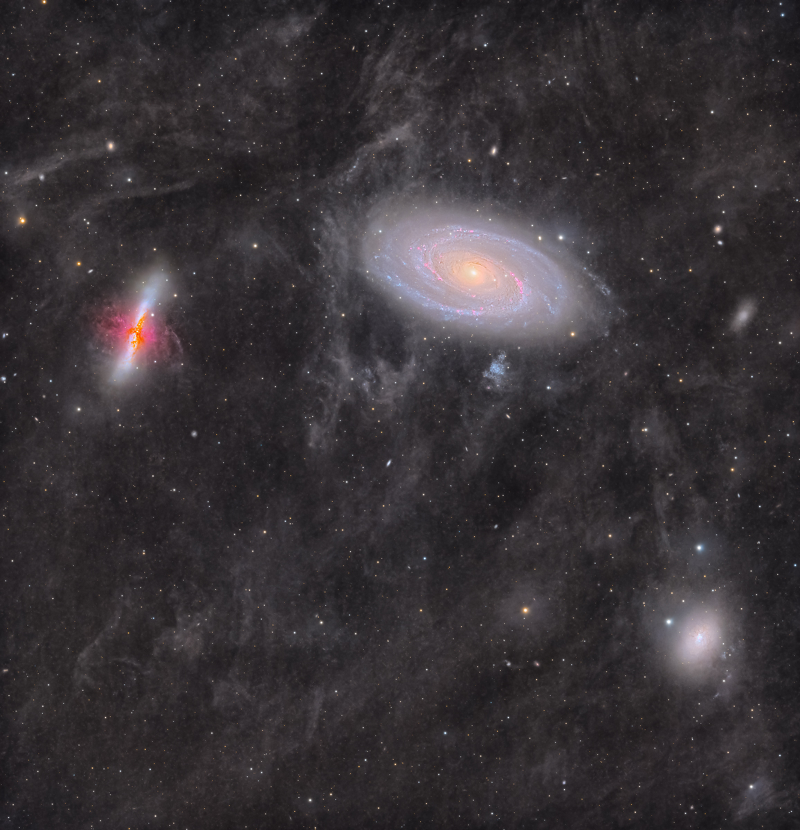 Bode’s Galaxy (M81), a bright spiral galaxy with well-defined arms and a glowing core, shown alongside the Cigar Galaxy (M82), an elongated starburst galaxy with irregular shape and active star-forming regions, both captured clearly against a dark starry