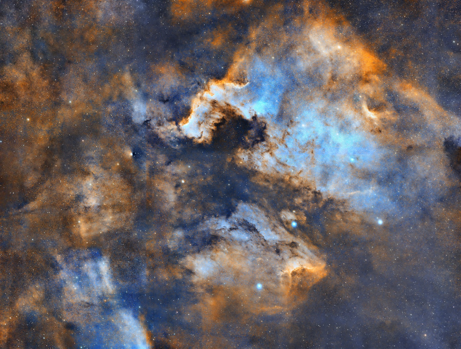 A close up of the North America Nebula in Cygnus captured by Galactic Hunter