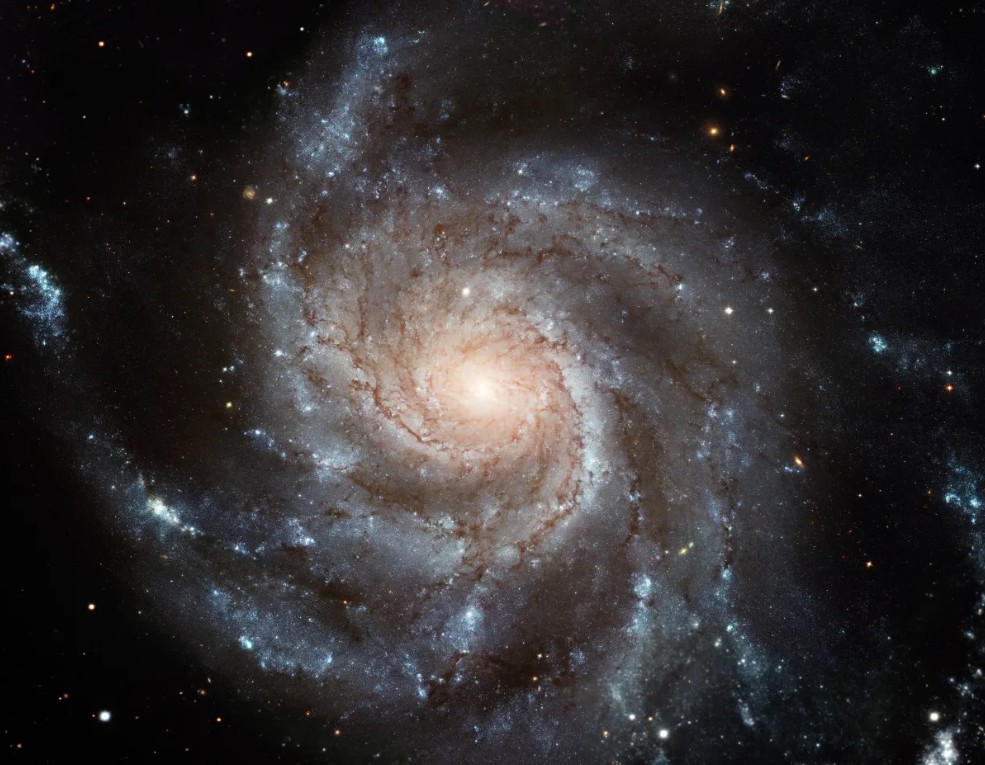 The Pinwheel Galaxy (M101), a large face-on spiral galaxy with loosely wound, bright spiral arms filled with star-forming regions and dark dust lanes, surrounding a bright central core, captured in vivid detail.