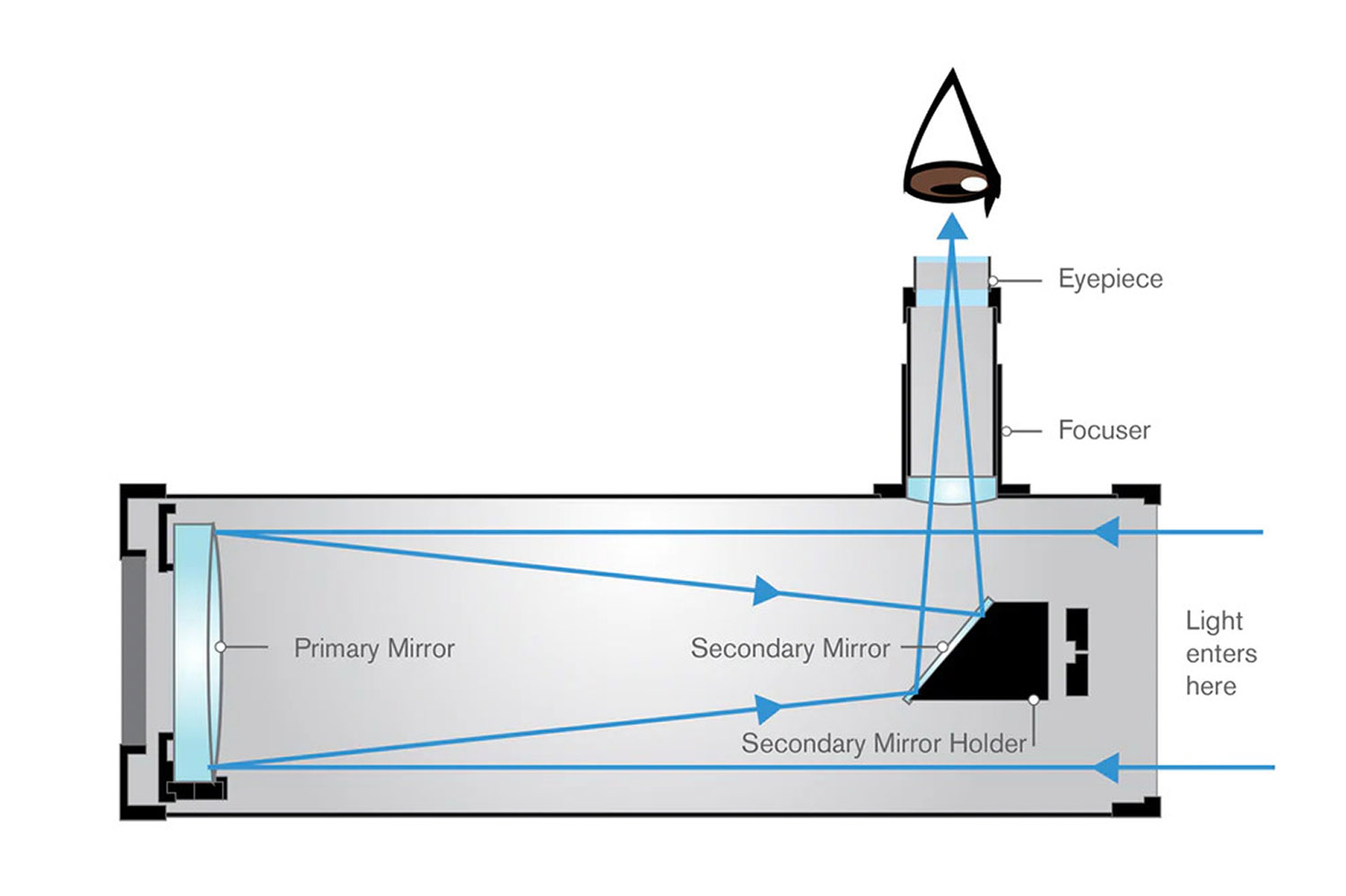 An inside diagram of how a reflector telescope works. Light passes through the telescope's opening, down the tube and bounces off of a mirror at the bottom, to another smaller mirror located back up the tube near the telescopes opening, and then out.