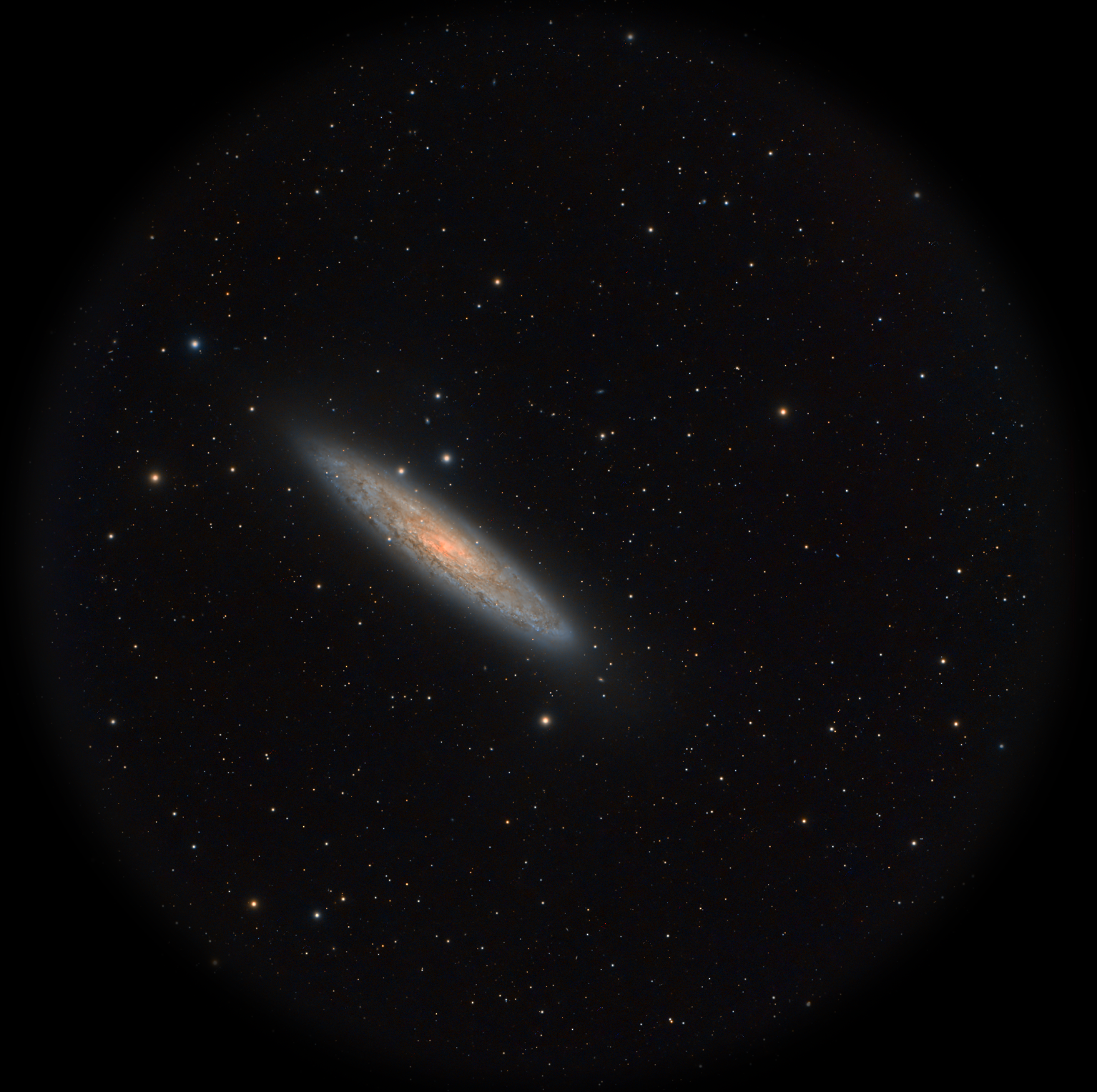 The Silver Dollar Galaxy