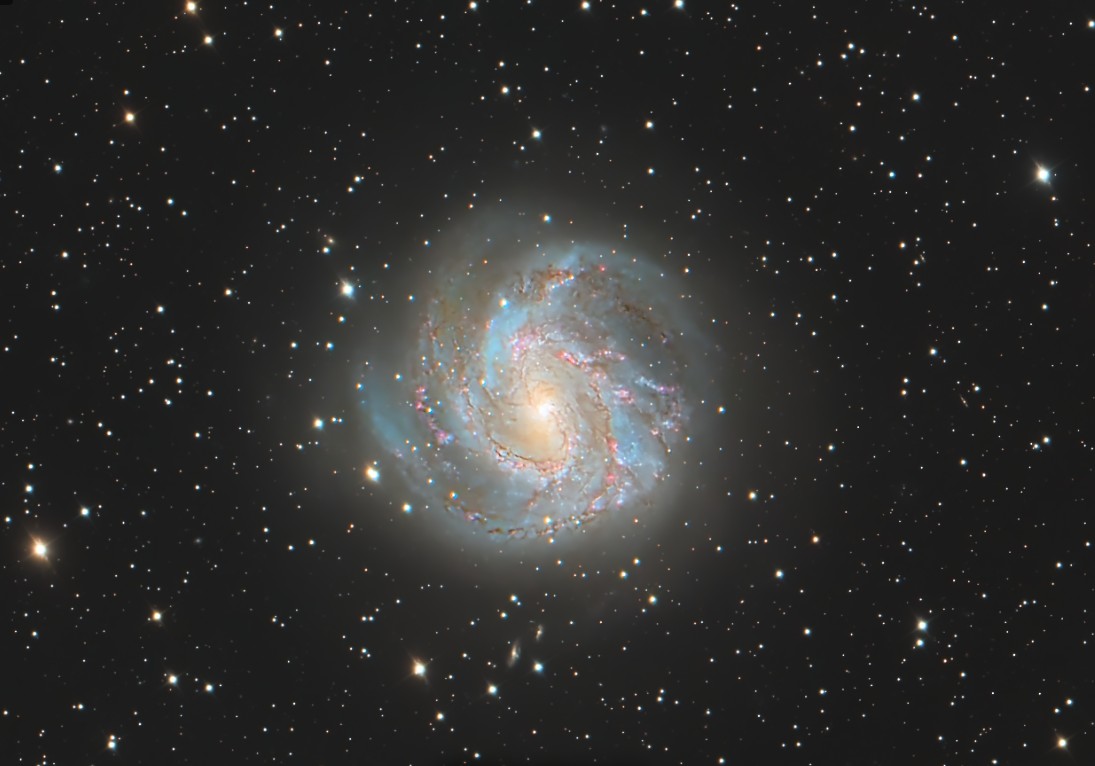 The Southern Pinwheel Galaxy (M83), a stunning face-on spiral galaxy with well-defined arms, pink star-forming regions, and bluish clusters of young stars, captured in vivid color and fine detail by astrophotographer Drew Evans.