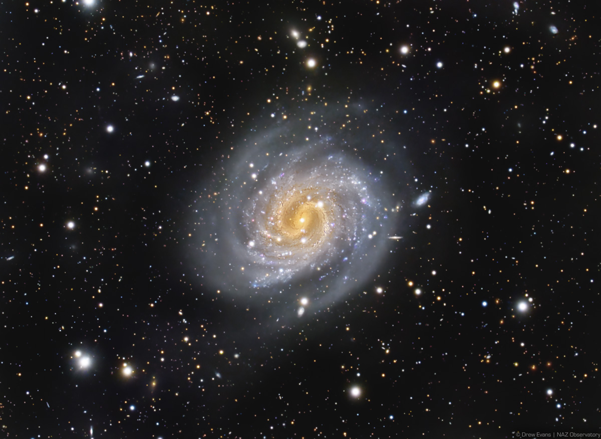 The Lost Galaxy (NGC 4535), a barred spiral galaxy with bright central regions and loosely wound spiral arms filled with star clusters and glowing gas, set against a dark starry background.